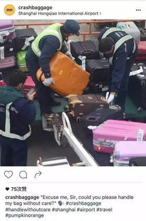 暴力托運(yùn),你不是怕箱子托運(yùn)被摔嗎